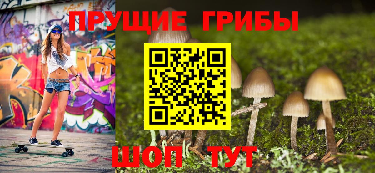 Псилоцибиновые грибы Magic Shrooms  Псилоцибиновые грибы Psilocybe  Брянск  Вход с VPN 